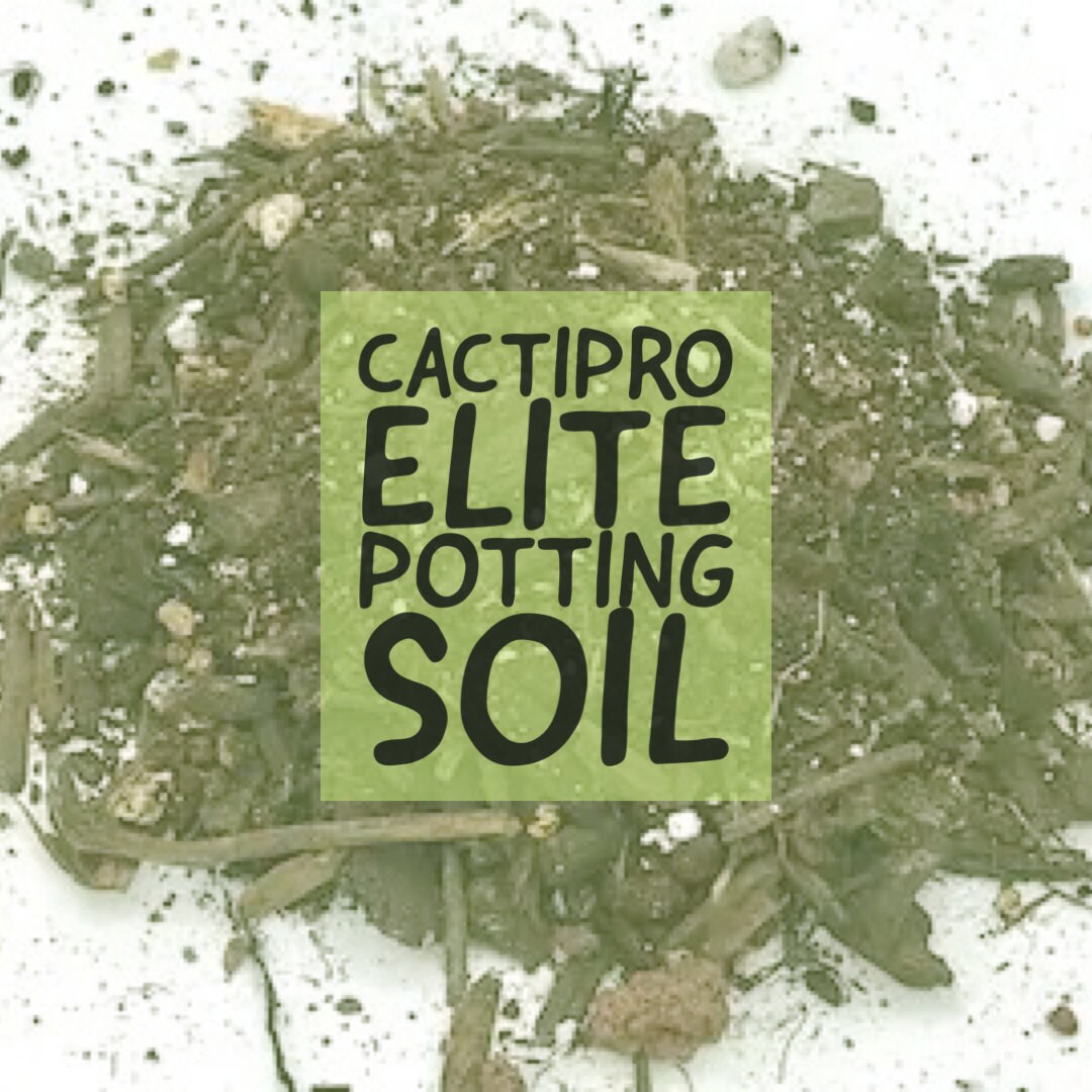 Cactipro Elite Potting Soil Professional Nursery Mix for Cactus