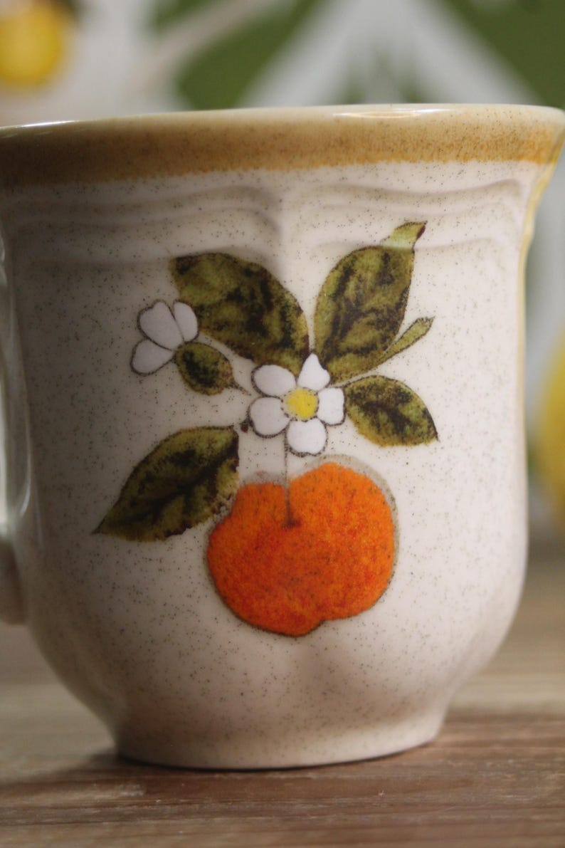 Vintage Mikasa Garden Club Delight Coffee Cup, Made in Japan, Brown