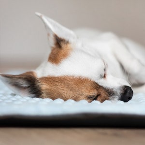 Decke To Go | Hundedecke