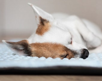 Decke To Go | Hundedecke
