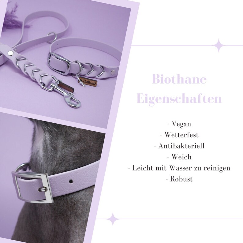 May include: A lavender biothane dog collar and lead set with silver hardware. The collar has a braided design and the lead has a silver clip. The text "Biothane Eigenschaften" is visible in the image. The text lists the properties of biothane, including vegan, weatherproof, antibacterial, soft, easy to clean with water, and robust.