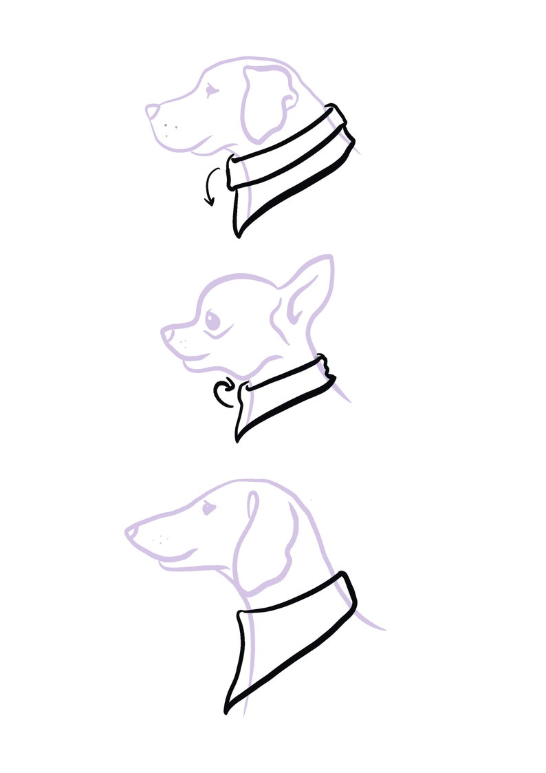 May include: Line drawing illustration of three dogs wearing bandanas. The dogs are a Labrador Retriever, a Chihuahua, and a Dachshund. The bandanas are black and white.
