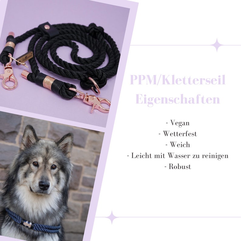 May include: Black double dog lead with rose gold hardware. The lead is made of rope and has a leather handle. The lead is shown on a purple background. The text "PPM/Kletterseil Eigenschaften" is shown in the image. The text below the title reads: - Vegan - Wetterfest - Weich - Leicht mit Wasser zu reinigen - Robust