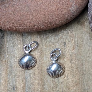 May include: Two small, silver seashell charms with looped tops. The charms have a ridged texture and are displayed on a wooden surface. The background includes a large, smooth, brown stone.