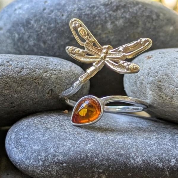 Dragonfly in Amber Etsy
