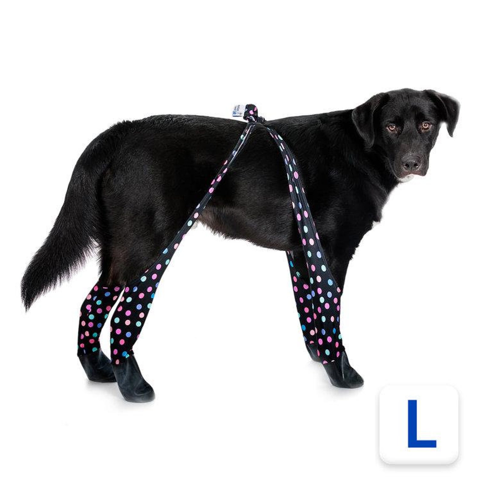 Large Snug Fit Confetti pattern Waterproof Dog Leggings Etsy