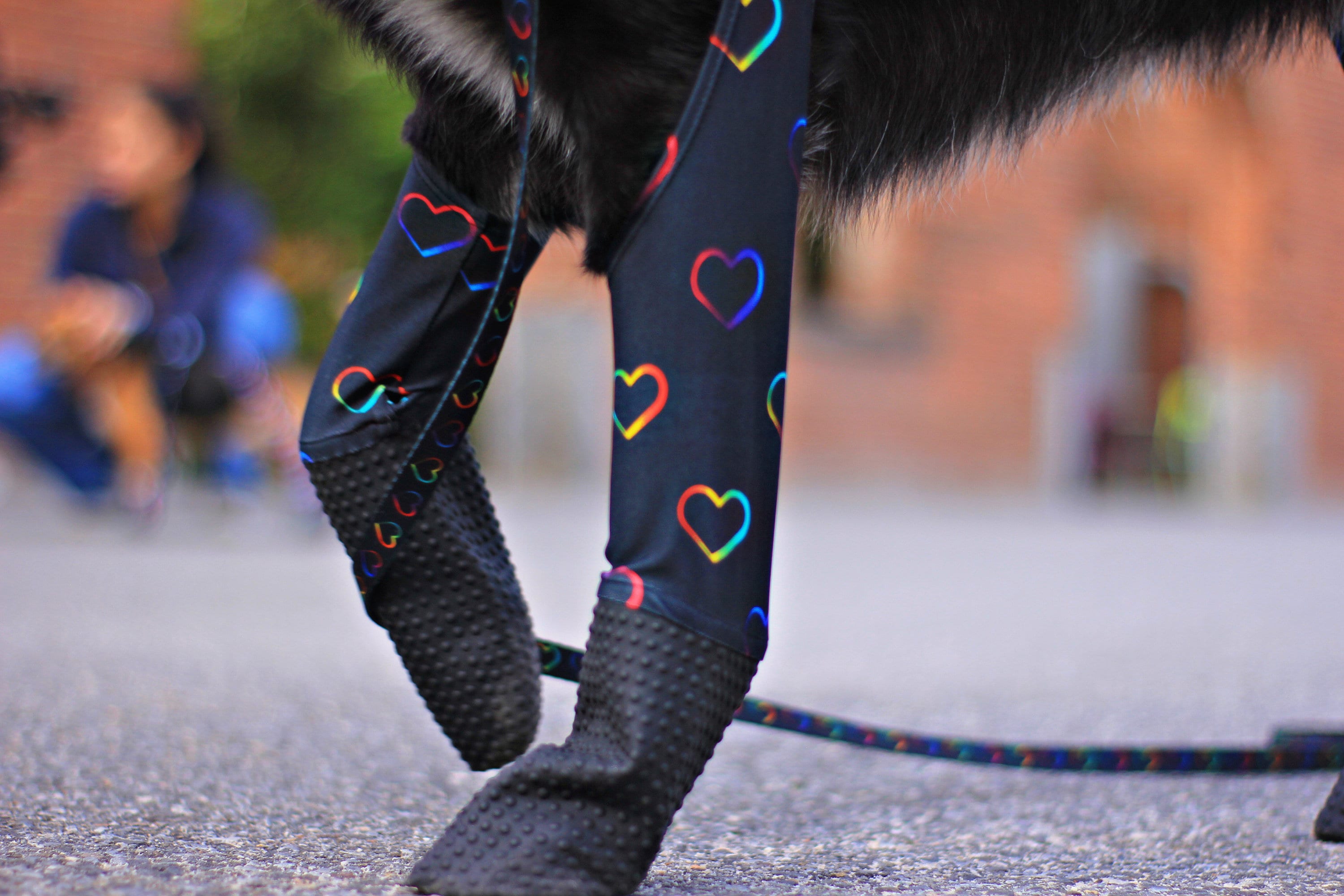 Small Adjustable Fit Waterproof Dog Leggings Hearts Pattern Etsy