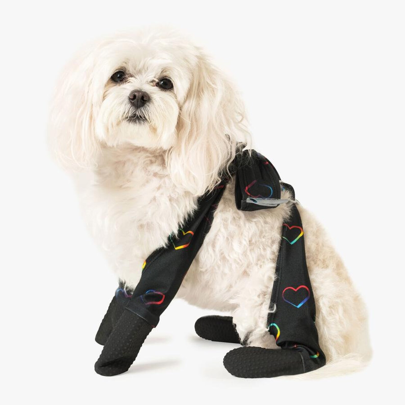Small Adjustable Fit Waterproof Dog Leggings Hearts Pattern Etsy