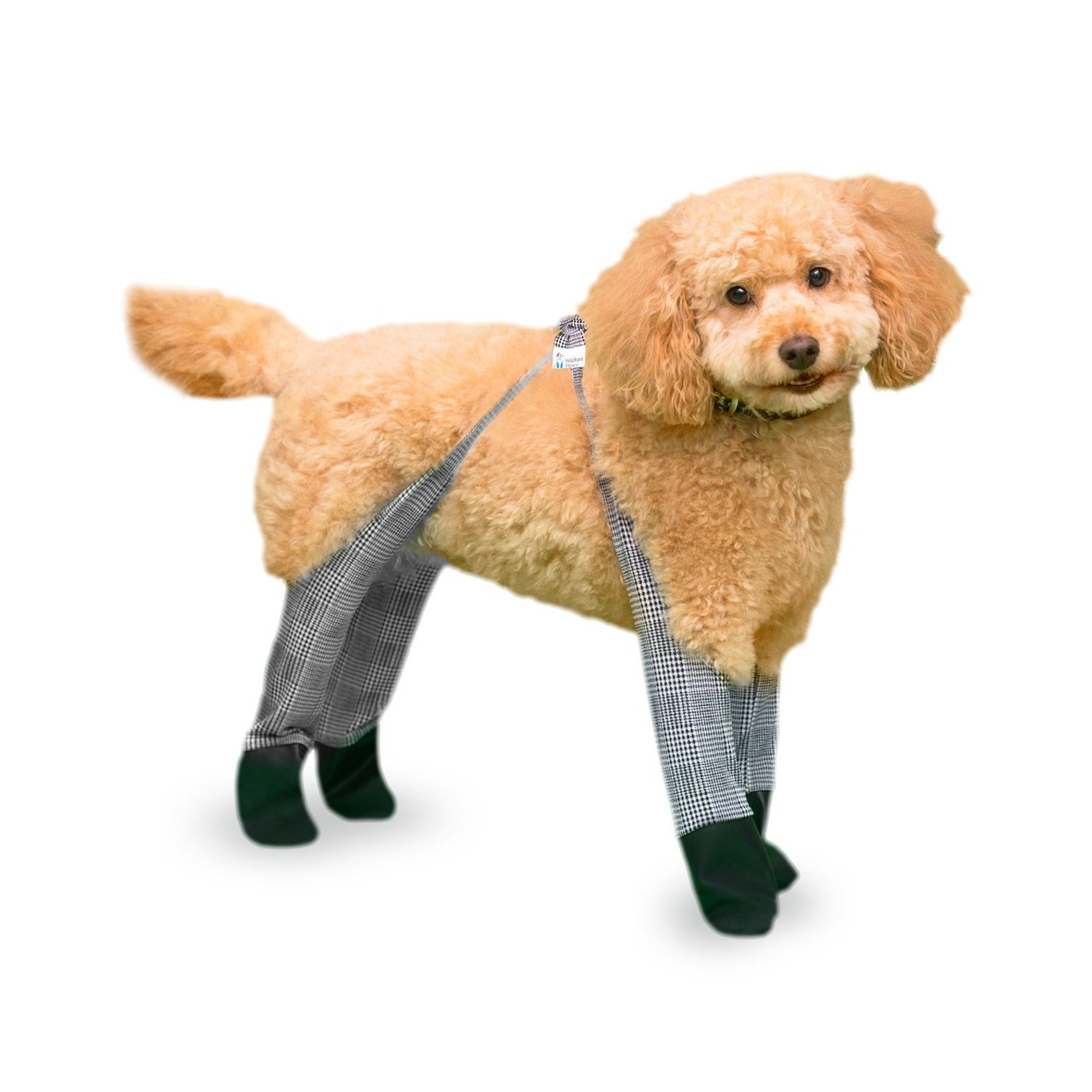 Medium Regular Fit Walkee Paws Waterproof Dog Leggings in Etsy