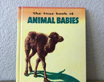 1955, The True Book of Baby Animals, a book from the "True Book" series, hardcover