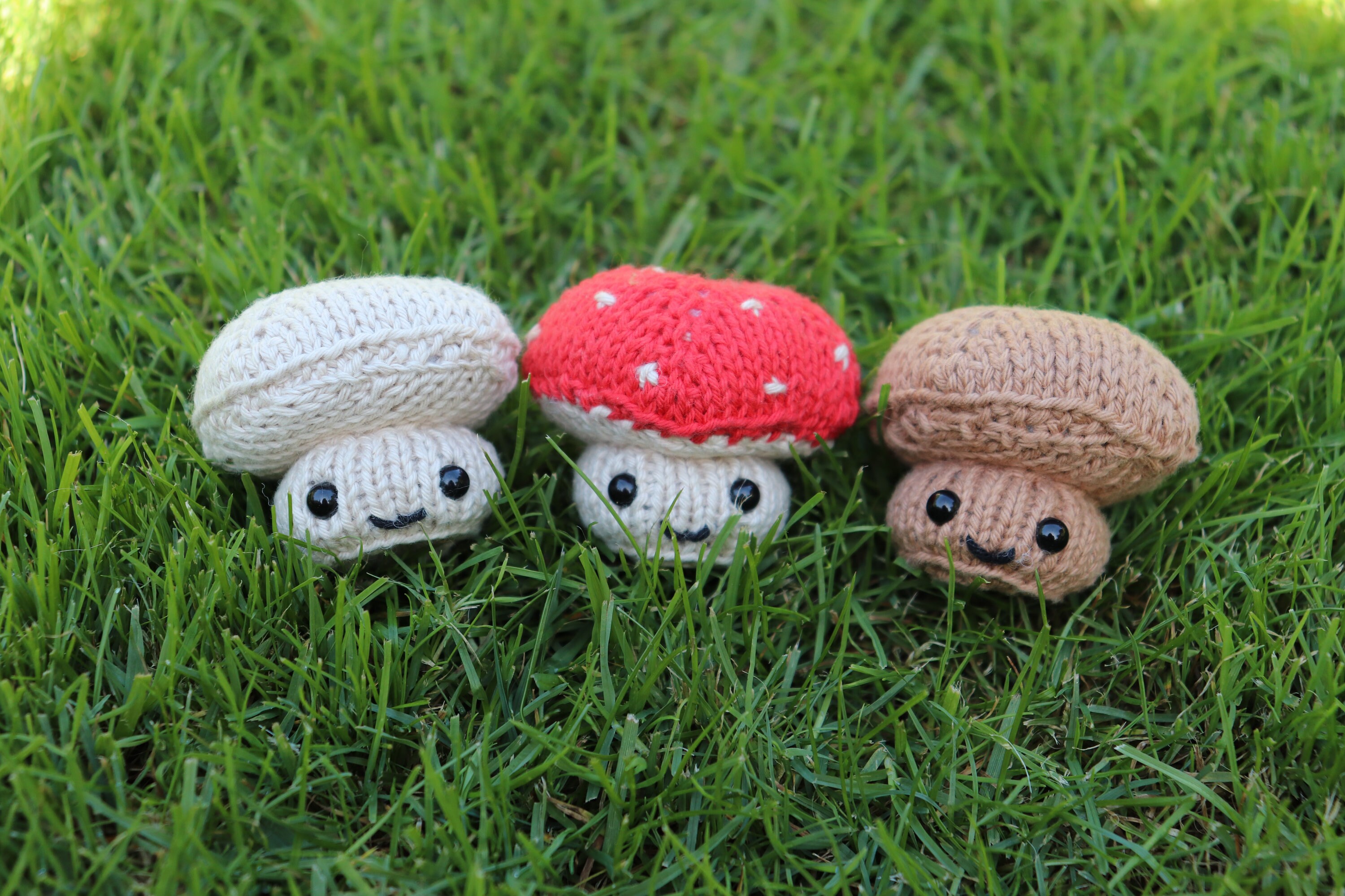 PREMADE Mini Knitted Mushroom Bundle Etsy