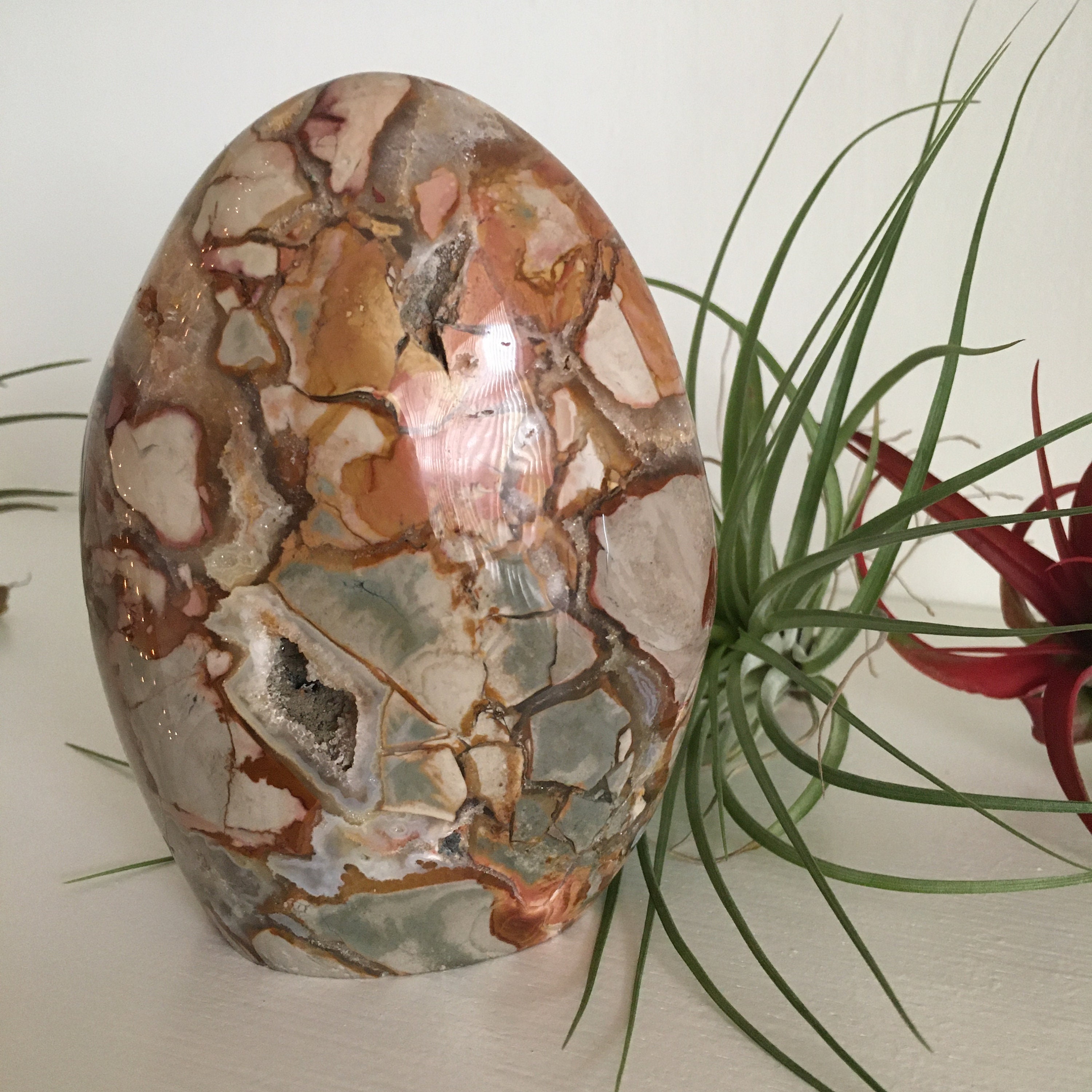 Ibis Jasper Mosaic Jasper Free Form Display Piece Etsy