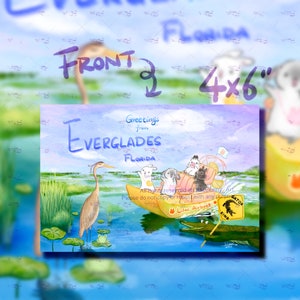Greetings from Everglades Florida, MaoMao & DoDo's Travel, Bunny traveling postcard, alligator, airboat, Lilac Bunny Art Print