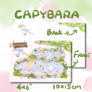 Carte postale Impression artistique, MaoMao et DoDo avec leurs amis, Capybara, Hot Spring, , LilacBunny