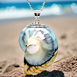 Ocean-Inspired Tiger Nautilus Shell Necklace – Sterling Silver Pendant, Beach Jewelry Gift for Her, Vacation, Anniversary, Birthday