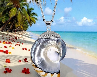 Ocean-Inspired Tiger Nautilus Shell Necklace – Sterling Silver Pendant, Beach Jewelry Gift for Her, Vacation, Anniversary, Birthday