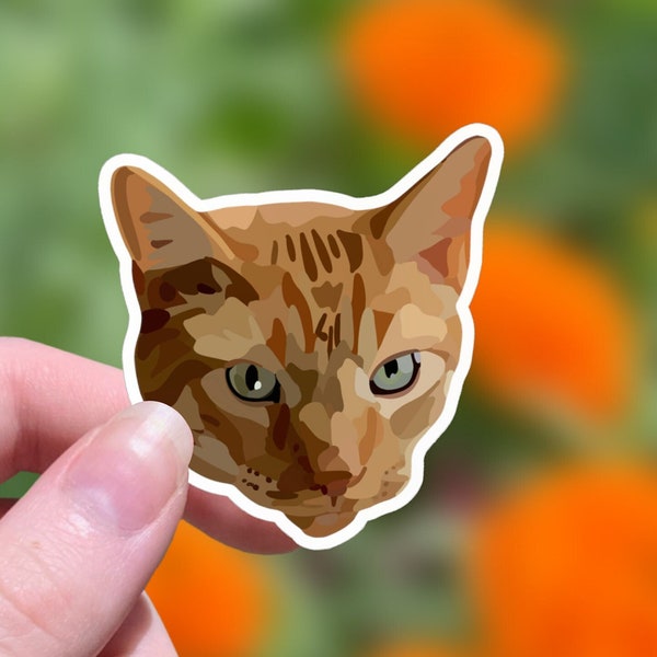 Tabby Cat Sticker, Tabby Cat, Orange Tabby Cat, Orange Tabby, Brown Tabby, Tiny Cat, Ginger Cat, Lucky Cat, Cat Themed Gifts, Cat Sticker