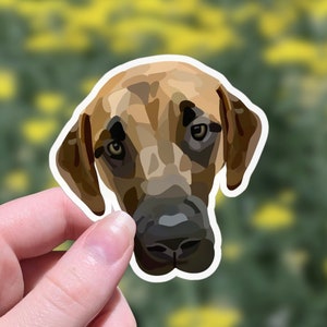 Black Mouth Cur, Black Mouth Cur Dog, Black Mouth Cur Puppy, Cute Dog