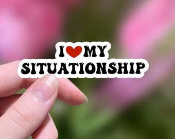 I Love My Situationship Sticker, Delulu Meme, Funny Vinyl Sticker