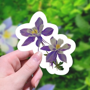 May include: A sticker featuring two purple and white columbine flowers with yellow centers. The sticker has a white, cloud-like border. The flowers are detailed with green stems and leaves, set against a blurred green background.