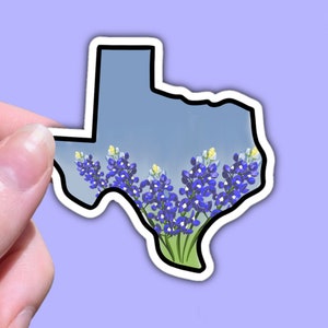 May include: A sticker of the state of Texas with a blue sky background and a border of bluebonnets, a Texas state flower.