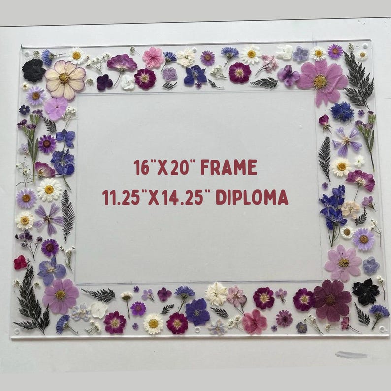 Pode incluir: Moldura de acr&iacute;lico transparente decorada com flores secas em tons de roxo, rosa e branco. A moldura mede 40,6 cm x 50,8 cm e tem o texto "11.25" x 14.25" DIPLOMA". A moldura foi concebida para conter um diploma ou certificado.