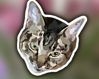 Adesivo de gato malhado marrom, estilo realista, American Shorthair.