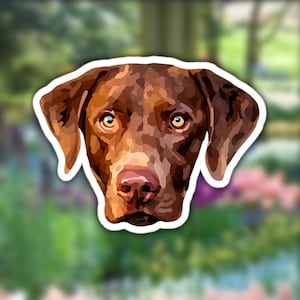 Chesapeake Bay Retriever Sticker, Brown Dog Decal