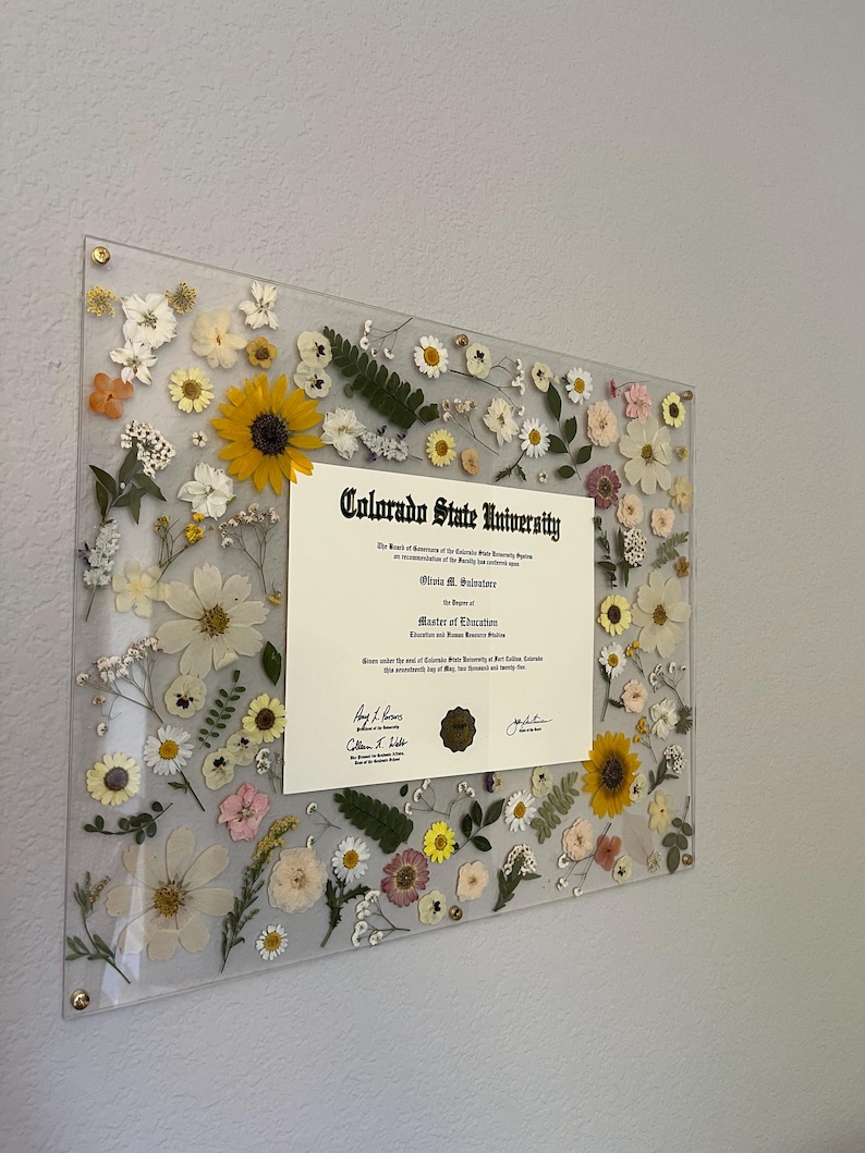 Pode incluir: Um diploma emoldurado da Colorado State University, com um mestrado em Educa&ccedil;&atilde;o. A moldura de acr&iacute;lico transparente &eacute; adornada com uma variedade de flores secas em v&aacute;rias cores, incluindo girass&oacute;is amarelos e margaridas brancas. Ferragens douradas.