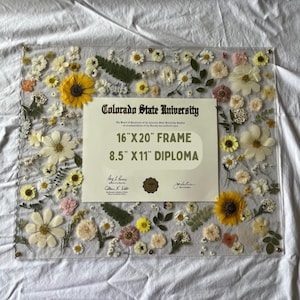 Pode incluir: Uma moldura de acr&iacute;lico transparente com um diploma da Universidade Estadual do Colorado. A moldura &eacute; decorada com flores secas e vegeta&ccedil;&atilde;o. A moldura &eacute; projetada para um diploma de 21,6 cm x 27,9 cm e mede 40,6 cm x 50,8 cm.
