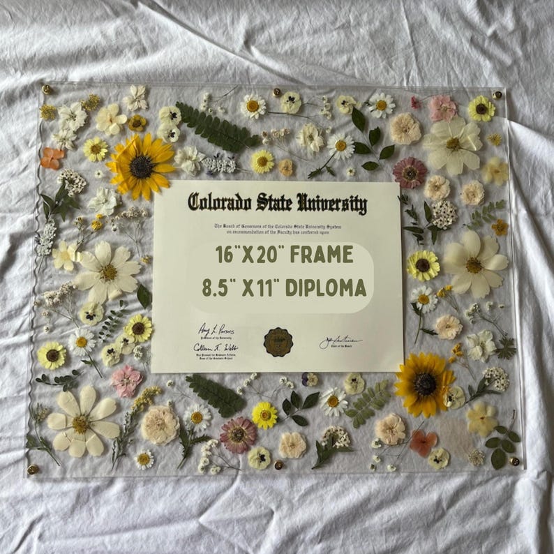 Pode incluir: Uma moldura de acr&iacute;lico transparente com um diploma da Universidade Estadual do Colorado. A moldura &eacute; decorada com flores secas e vegeta&ccedil;&atilde;o. A moldura &eacute; projetada para um diploma de 21,6 cm x 27,9 cm e mede 40,6 cm x 50,8 cm.