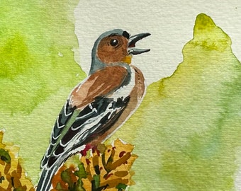 10 cm square watercolour painting of a Common Chaffinch bird.