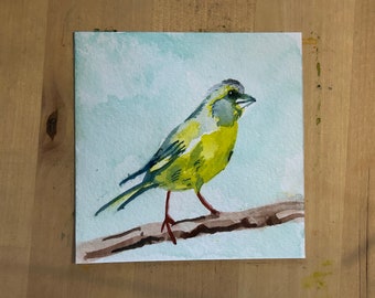 10 cm square watercolour painting of a green finch bird.