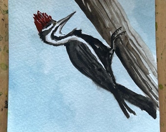 10 cm square watercolour painting of a woodpecker.