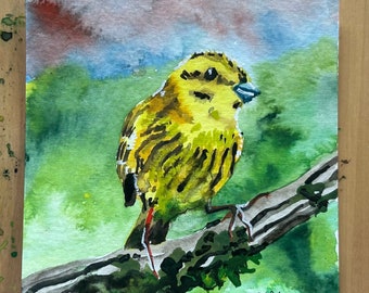 10 cm square watercolour painting of a Yellow Hammer.