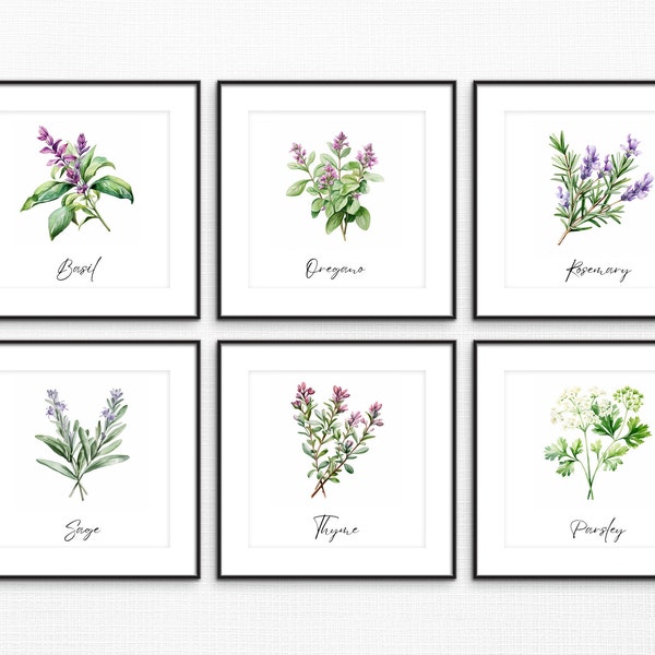 Herb-Inspired Kitchen Art Prints Set of 6 - Rosemary, Thyme, Sage, Parsley, Basil, Oregano