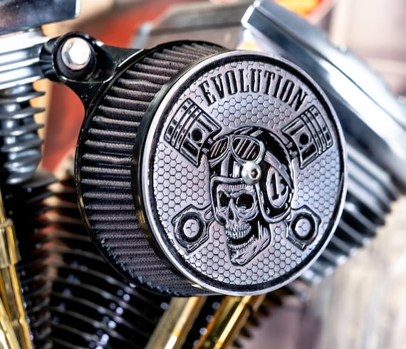 Evo Evolution Engraved Skull Air Filter Air Cleaner Cover 5.5