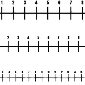May include: Three black and white illustrations of fish with numbered scales. The first fish has 10 scales, the second fish has 12 scales, and the third fish has 20 scales.