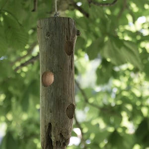 Easy Hanging Suet Bird Feeder