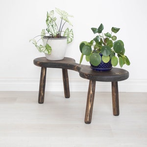 Altholz-Blumenhocker: Dunkelbrauner jakobinischer Doppelhocker