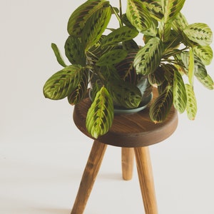 Reclaimed Wooden Handmade Tripod Stool. The Morrison Tripod Stool. Handcrafted in PEI image 8