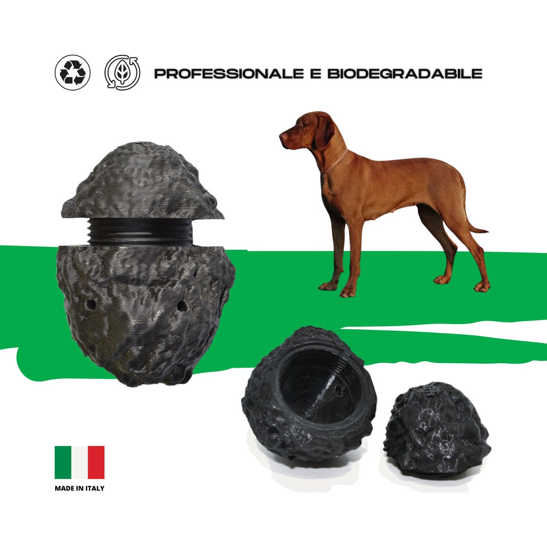 Truffle Dog Training Truffle Dog Training Train the Dog to Etsy