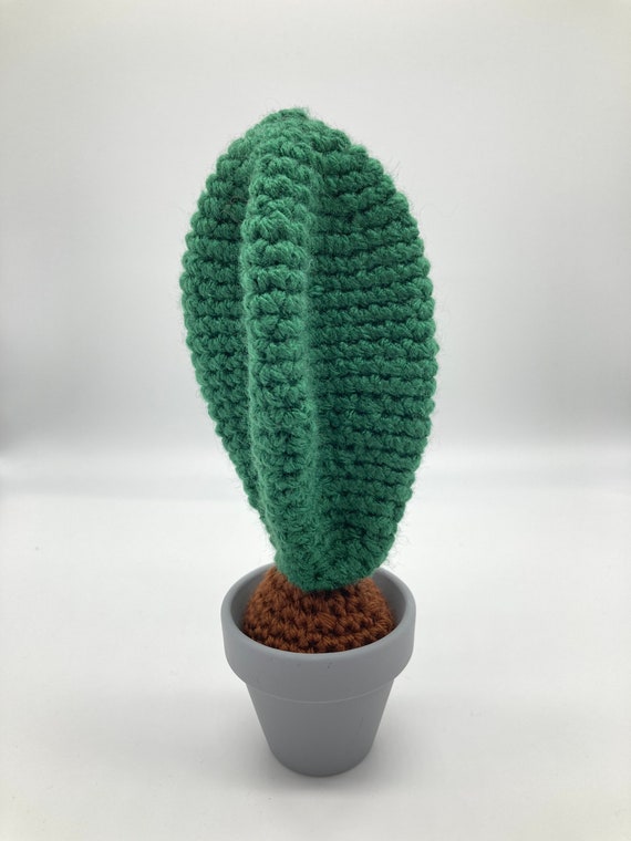 Cactus San Pedro, Plante dintérieur, Faux Cactus, Accessoire de