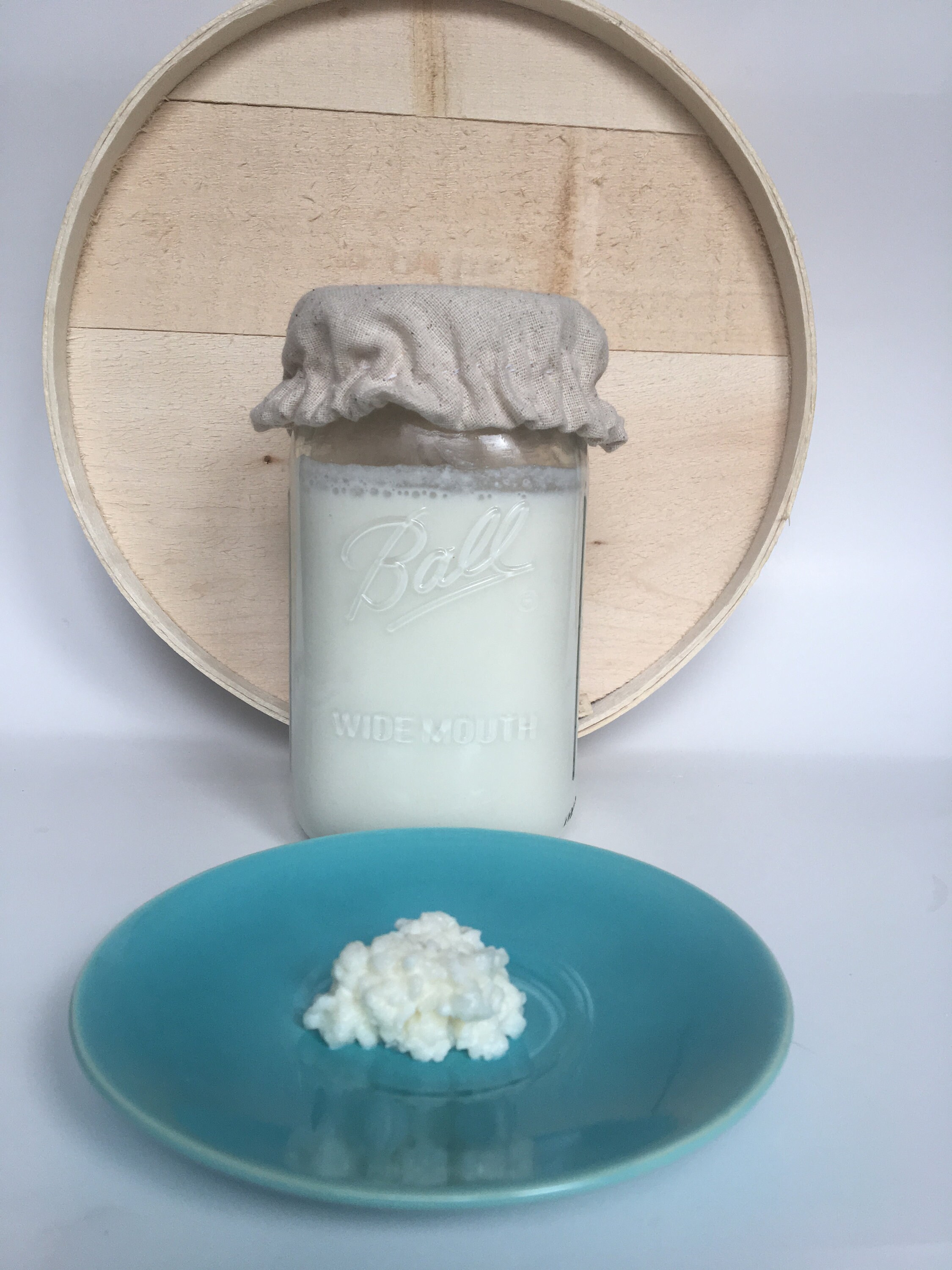 Milk Kefir Grains + FREE Fermentation Cap