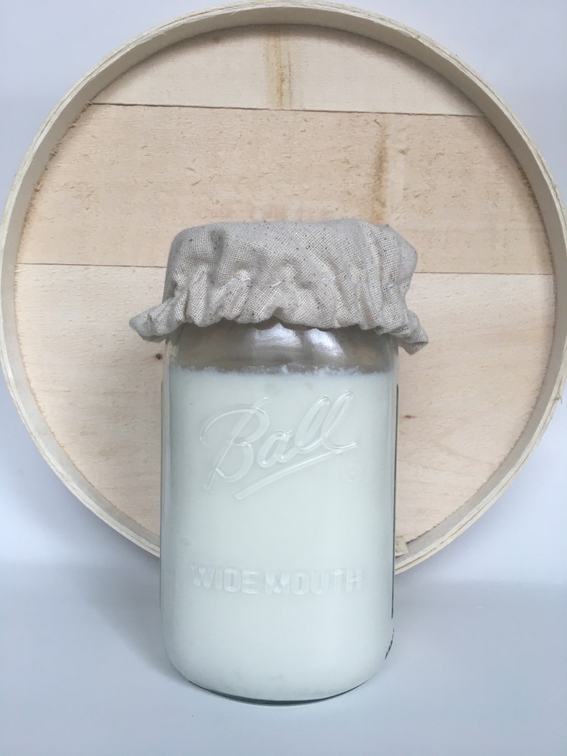 Fermentation Caps Etsy