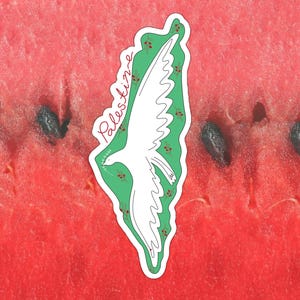 Palästina-Kartenaufkleber, ich stehe zu Palästina, freies Palästina