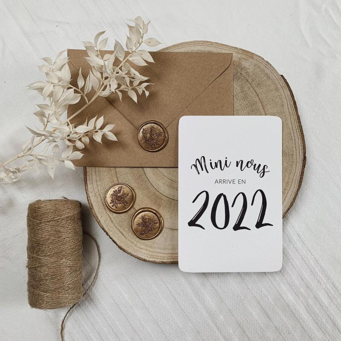 Lot de cartes annonce grossesse mininous arrive en 2021 Etsy Lot de cartes annonce grossesse mininous arrive en 2021 Etsy