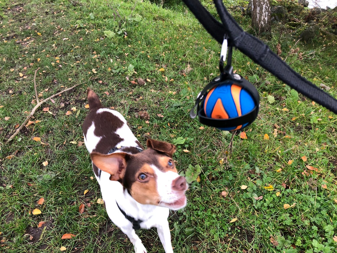 Dog Ball Holder Genuine Leather Dog Accessories Dog Toy Pet Etsy