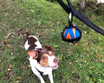 Hundeballhalter, Echtleder Hundezubehör, Hundespielzeug Haustier Accessoire Leine Befestigung, Hunderucksack Accessoire zum Wandern, Auf Bestellung