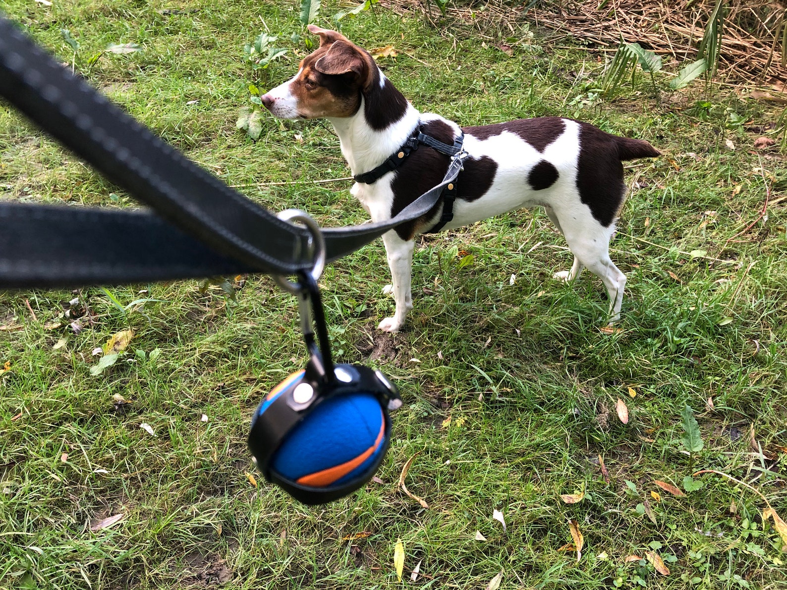 Dog Ball Holder Genuine Leather Dog Accessories Dog Toy Pet Etsy